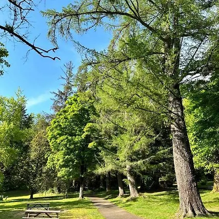 Avec Terrasse Proche Du Parc Fenestre